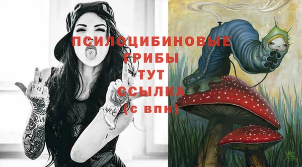 ГАЛЛЮЦИНОГЕННЫЕ ГРИБЫ Рославль