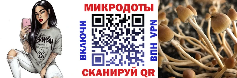 Псилоцибиновые грибы мухоморы  Белокуриха 